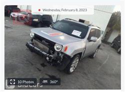 جيب رينيجيد